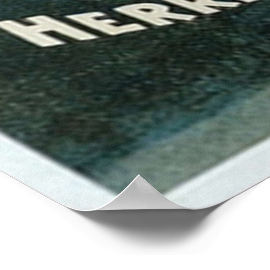 Poster Vintage Herrmann Co Magic (Coin)