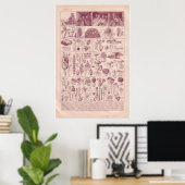 Poster Vintage historique 1920 Champignons (Bureau à domicile)