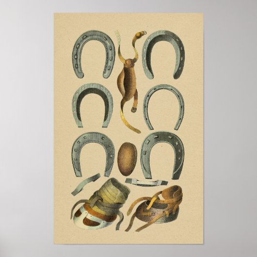 Poster Vintage Horse Shoe Farrier 1898 Imprimer (Devant)