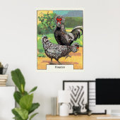 Poster Vintage Houdan Chicken (Bureau à domicile)