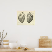 Poster Vintage Human Anatomy Print Heart (Cuisine)