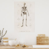 Poster Vintage Illustration Human Skeleton Chart (Cuisine)