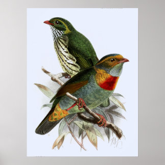 Poster Vintage John Keulemans