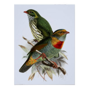 Poster Vintage John Keulemans