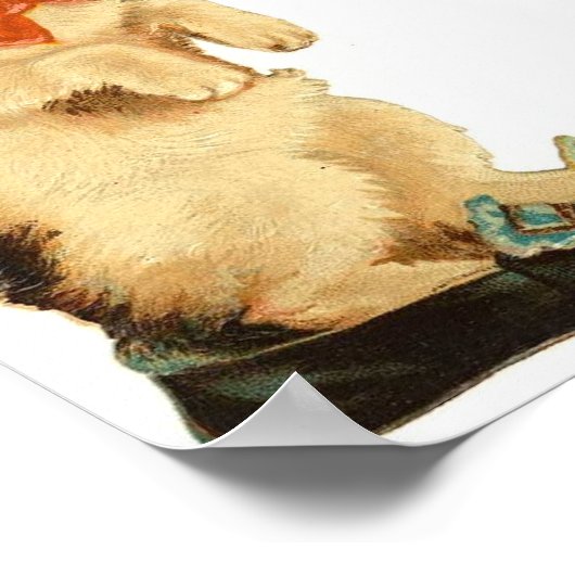 Poster Vintage Kitty (Coin)