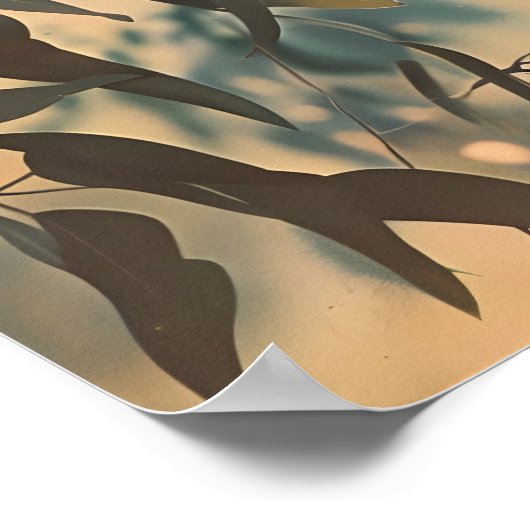 Poster Vintage Koala (Coin)