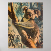Poster Vintage Koala (Devant)