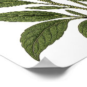 Poster Vintage Lavender (Coin)