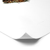 Poster Vintage Lionfish (Coin)