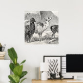 Poster Vintage Llama Alpaca Modèle Llamas Alpacas (Bureau à domicile)