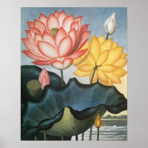 Poster Vintage Lotus Flowers, The Sacred Egyptian Bean