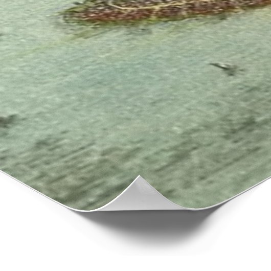 Poster Vintage Map of Brooklyn (Coin)