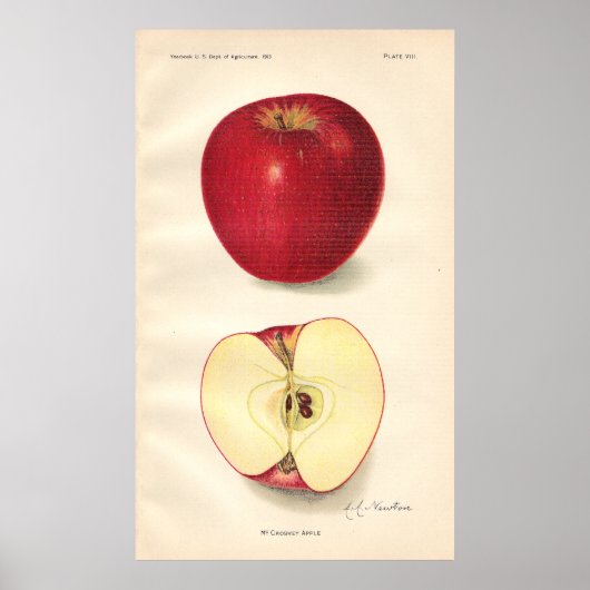 Poster vintage McCroskey Apple (Devant)