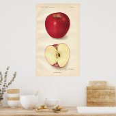 Poster vintage McCroskey Apple (Cuisine)