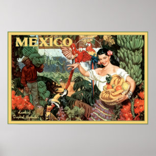 Poster Vintage Mexique Pays de la Splendor Tropical Voyag