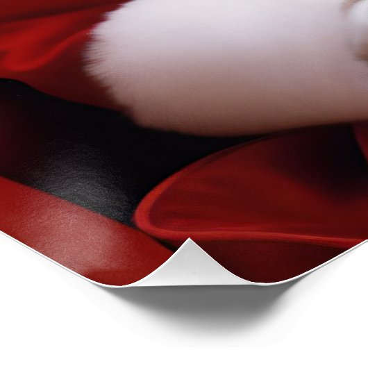 Poster Vintage Mme Claus (Coin)