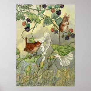 Poster Vintage, Molly Brett Nature Art Bird, souris