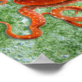 Poster vintage océanique octopus (Coin)