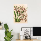 Poster Vintage Odontoglossum Orchid Flower (Bureau à domicile)