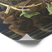 Poster vintage Oiseau Mur Art - Aiguille Blanche (Coin)