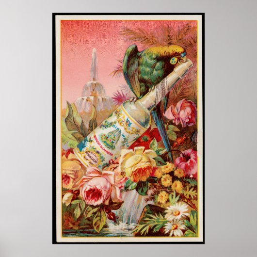 Poster Vintage oiseaux tropicaux Floride Water Annonce (Devant)