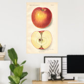 Poster vintage Opalescent Apple (Bureau à domicile)