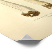 Poster Vintage Orange Champignons Brown Art (Coin)