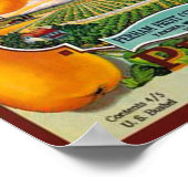 Poster vintage Orchard Pears (Coin)