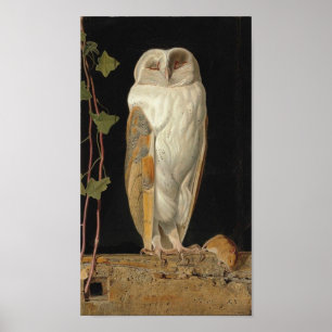 Poster Vintage Owl Image