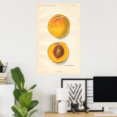 Poster vintage Peaches (Bureau à domicile)