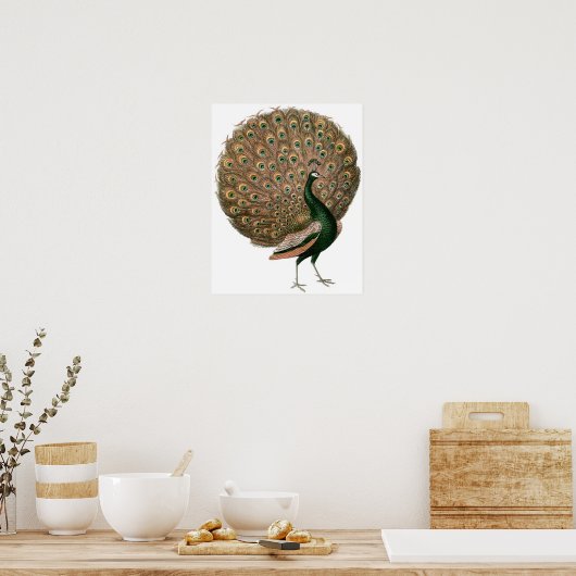 Poster vintage Peacock (Cuisine)