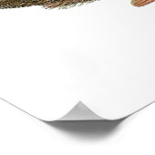 Poster vintage Peacock (Coin)