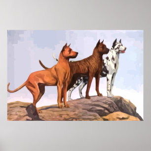 Poster vintage Peint Great Danes