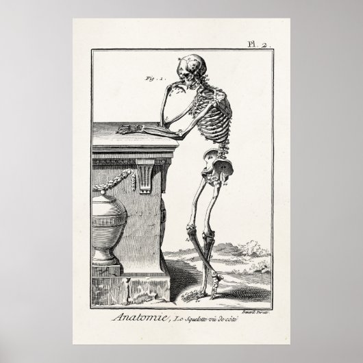 Poster Vintage pensée Squelette humain Médicale Anatomie (Devant)