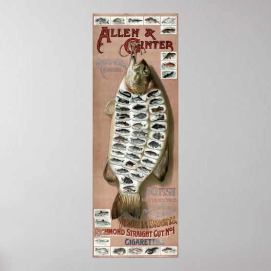 Poster Vintage période victorienne 50 poissons (Devant)