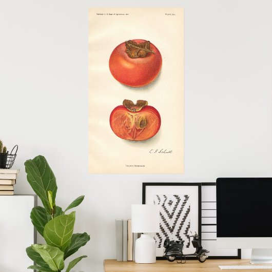Poster vintage Persimmon (Bureau à domicile)