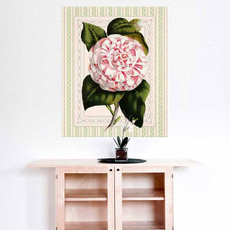 Poster Vintage Pink and White Camellia Shabby Elegance