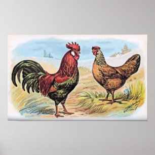 Poster Vintage poulet imprimé coq et poule