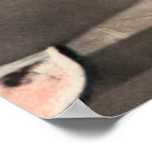 Poster vintage pour manger de la pastèque (Coin)