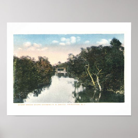 Poster Vintage Princeton NJ Railroad 1920 Vintage (Devant)