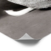 Poster vintage Puppy et Kitten (Coin)