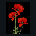 Poster Vintage Red Poppies Botanique Imprimer<br><div class="desc">Vibrant pavot rouge adapté d'une illustration botanique vintage.</div>