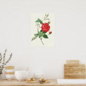 Poster Vintage Red Roses Botanique Imprimer (Cuisine)