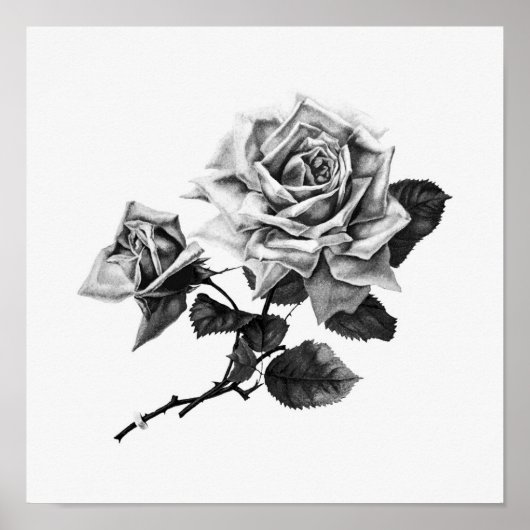 Poster Vintage Rose Illustration (Devant)