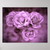 Poster Vintage Rose pourpre (Devant)