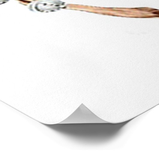 Poster vintage Rudolph (Coin)