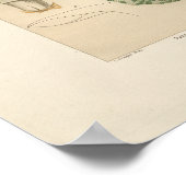 Poster Vintage Russula (Coin)