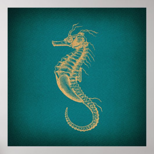 Poster Vintage Seahorse (Devant)