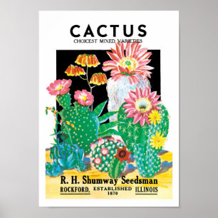 Poster Vintage Seed Packet Étiquette Art Desert Cactus Pl