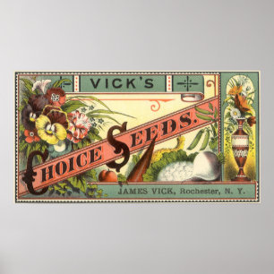 Poster Vintage Seed Packet Étiquette Art, Vick's Choice S